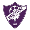 Hacettepe 1945 logo