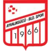 Ayvalikgucu logo