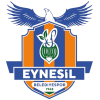 Eynesil logo