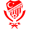 Gumushanespor logo