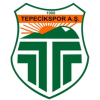 Tepecik logo