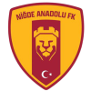 Nigde Anadolu logo