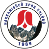 Hakkarigucu Spor W logo