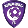 Wakiso Giants logo