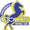 Cumbernauld Colts logo