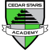 Cedar logo