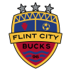 Flint City logo