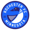 Rochester Fc logo