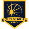 Gold Star logo