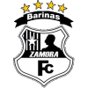 Zamora logo