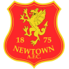 Newtown logo