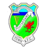 Pontardawe logo