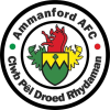 Ammanford logo