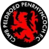 Penrhyncoch logo